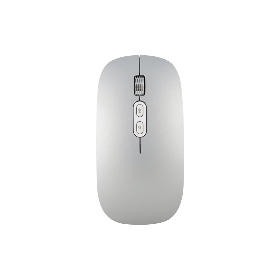 Voice to Text Mouse
