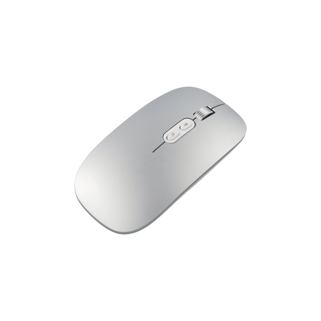 Voice to Text Mouse