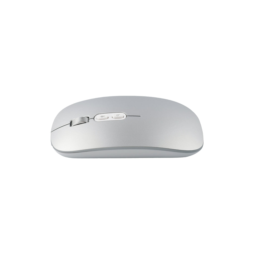 Voice to Text Mouse