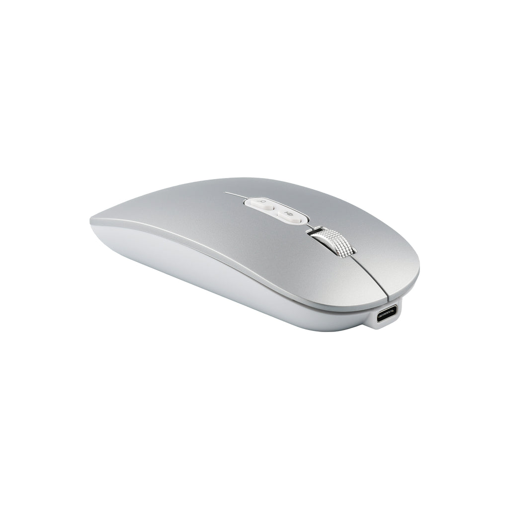 Voice to Text Mouse
